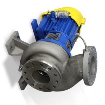 Atos PFG-135 fixed displacement pump