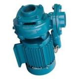 Atos PFG-199 fixed displacement pump